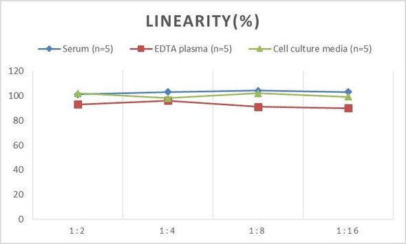 Human CD276 (Cluster of Differentiation 276) ELISA Kit (AEES00871)