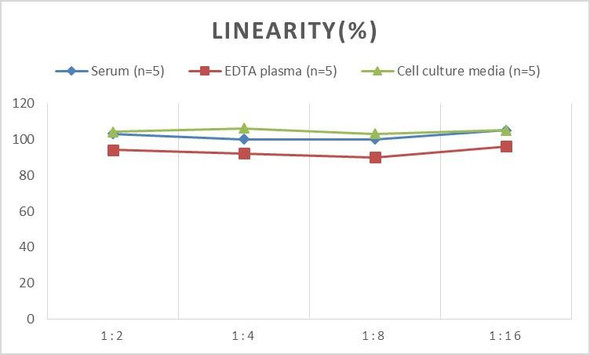 PicoGenie Rat IL-10 (Interleukin 10) ELISA Kit (AEES02615)