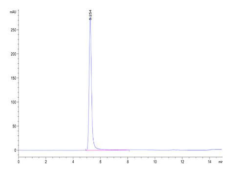 Recombinant Human Claudin-4 Protein (RPCB2193)