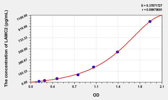 Human LAMC2 (Laminin Gamma 2) ELISA Kit (AEKE07400)