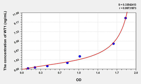 Human WT1 (Wilms Tumor Protein) ELISA Kit (AEKE07596)