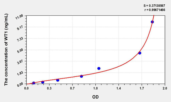 Human WT1 (Wilms Tumor Protein) ELISA (Small Sample Volume) (AEKE07597)