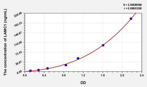 Human LAMC1 (Laminin Gamma 1) ELISA (Small Sample Volume) (AEKE08022)