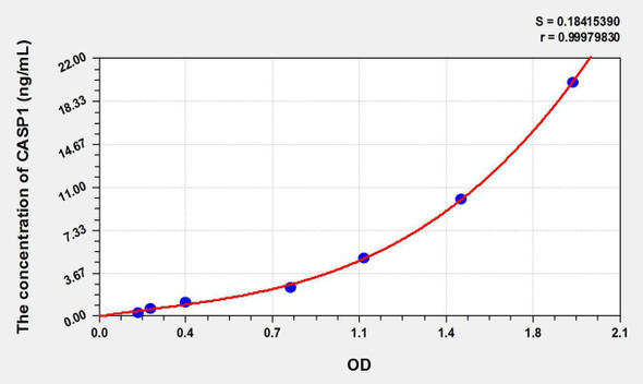 Rat CASP1 (Caspase 1) ELISA Kit (AEKE09533)