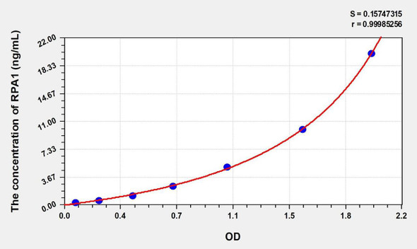 Rat RPA1 (Replication Protein A1) ELISA (Small Sample Volume) (AEKE10170)