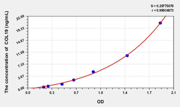 Rat COL19 (Collagen Type XIX) ELISA Kit (AEKE10352)