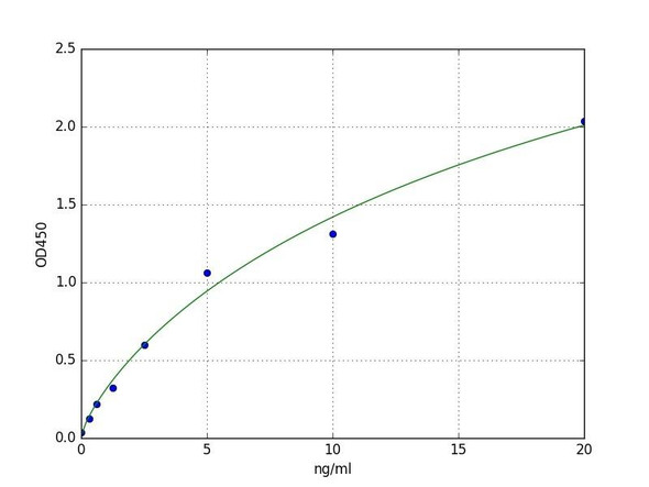 Human PAICS (Multifunctional protein ADE2) ELISA Kit (HUFI07353)