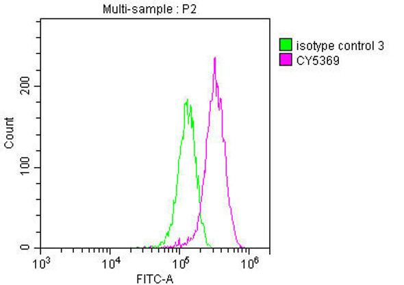 Anti-LGR5 Antibody (RACO0242)