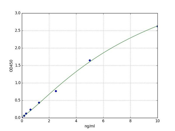 Human BBX (HMG box transcription factor BBX) ELISA Kit (HUFI04604)