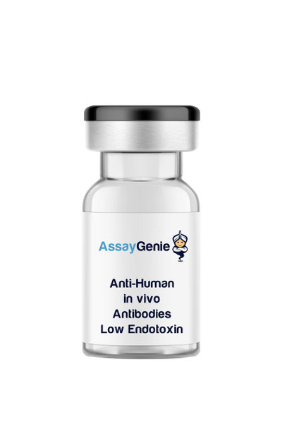 Anti-Human HLA-A, B, C (MHC Class I) In Vivo Antibody - Low Endotoxin