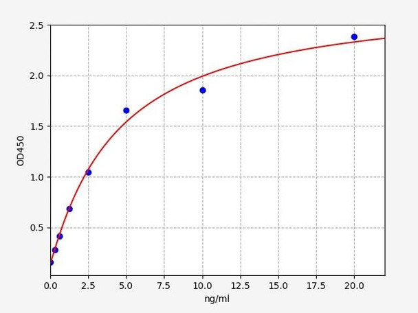 Human DUSP4 / MKP2 ELISA Kit