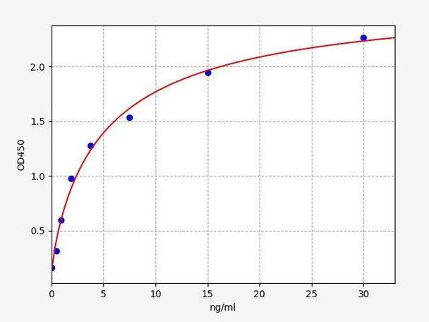 Human BNIP3(BCL2/adenovirus E1B 19 kDa protein-interacting protein 3) ELISA Kit