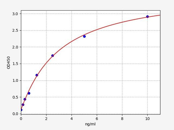 Human Cystatin B ELISA Kit