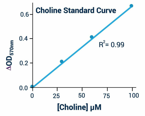 Choline Assay Kit (BA0088)