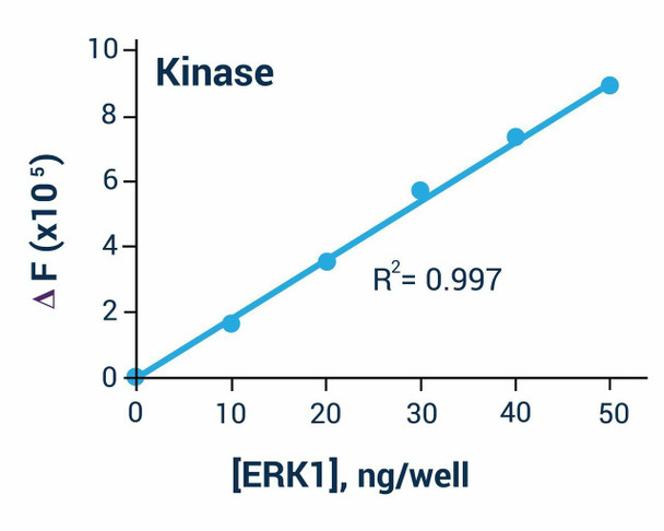 Kinase Assay Kit (Fluorometric) (BA0125)