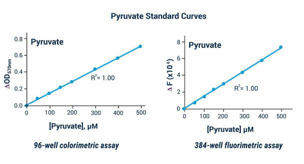 Pyruvate Assay Kit (Colorimetric or Fluorometric) (BA0146)