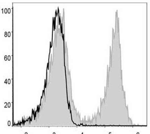 PE/Cyanine5 Anti-Mouse CD19 Antibody [1D3] (AGEL0007)