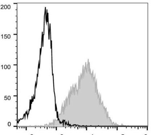 PE Anti-Mouse CD54 Antibody [YN1/1.7.4] (AGEL0119)