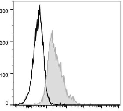 FITC Anti-Mouse CD1d Antibody [19G11] (AGEL0149)
