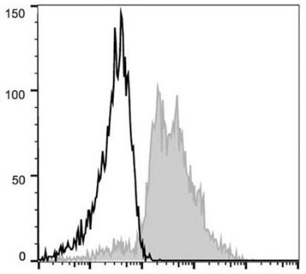 PE Anti-Human CD29 Antibody [TS2/16.2.1] (AGEL0215)
