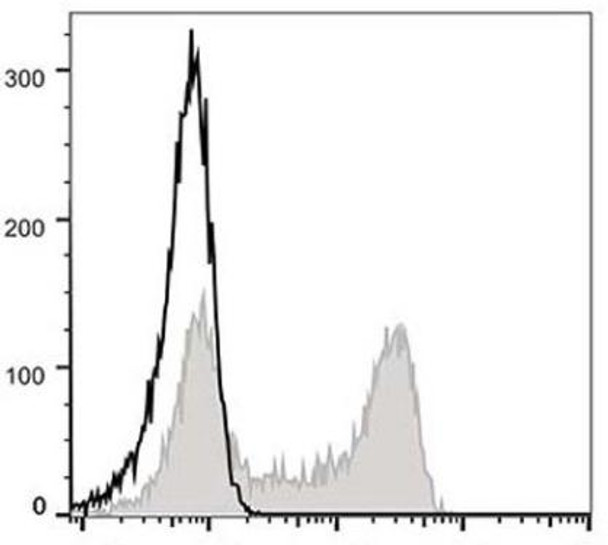 FITC Anti-Human CD62L Antibody [DREG56] (AGEL0224)