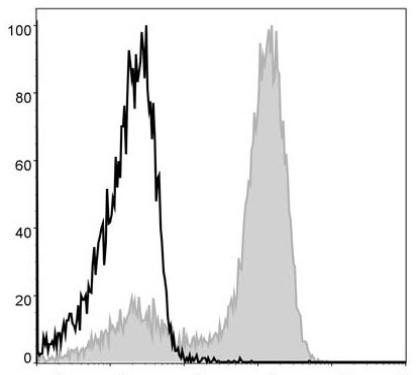 APC Anti-Mouse/Human CD11b Antibody [M1/70] (AGEL0308)