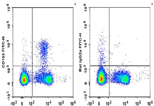 FITC Anti-Mouse CD103 Antibody [M290] (AGEL0332)