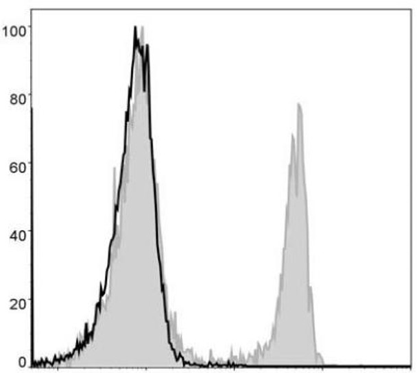 GenieFluor 488 Anti-Mouse CD4 Antibody [GK1.5] (AGEL0360)