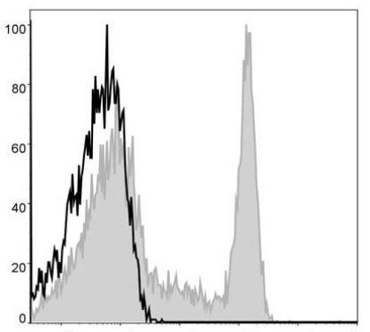 APC Anti-Human CD8a Antibody [OKT-8] (AGEL0409)