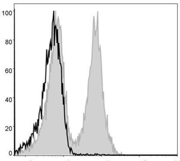 FITC Anti-Mouse CD19 Antibody [1D3] (AGEL0469)