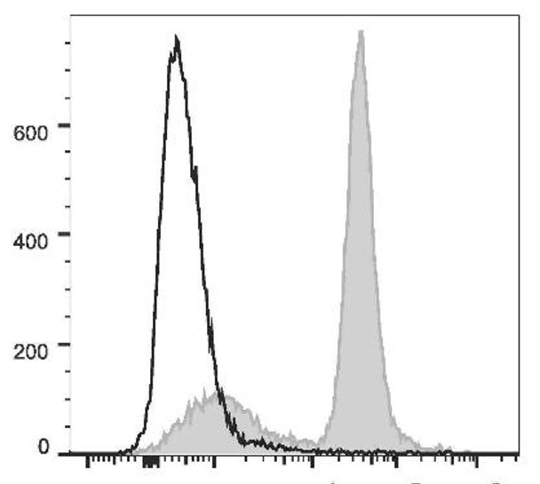 PE/Cyanine7 Anti-Mouse CD16/32 Antibody [2.4G2] (AGEL0592)