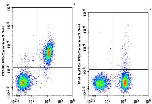 PE/Cyanine5.5 Anti-Mouse CD40 Antibody [FGK4.5/FGK45] (AGEL0778)