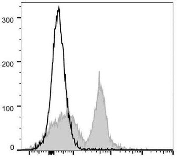 PE/Cyanine5 Anti-Mouse CD40 Antibody [FGK4.5/FGK45] (AGEL0785)
