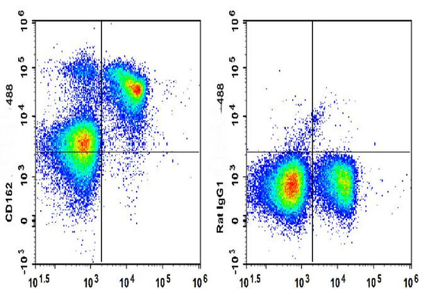 GenieFluor 488 Anti-Mouse CD162 Antibody [4RA10] (AGEL0854)