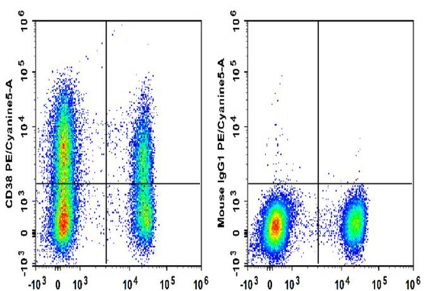 PE/Cyanine5 Anti-Human CD38 Antibody [HIT2] (AGEL0989)