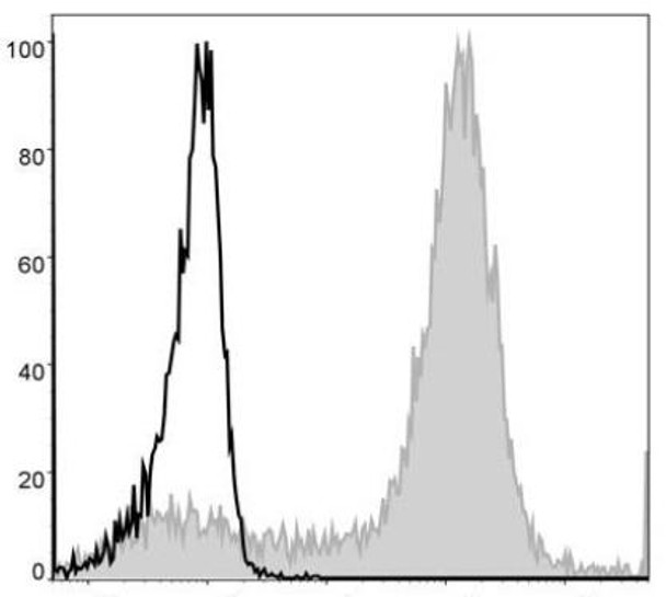 PE Anti-Mouse/Human CD11b Antibody [M1/70] (AGEL1105)