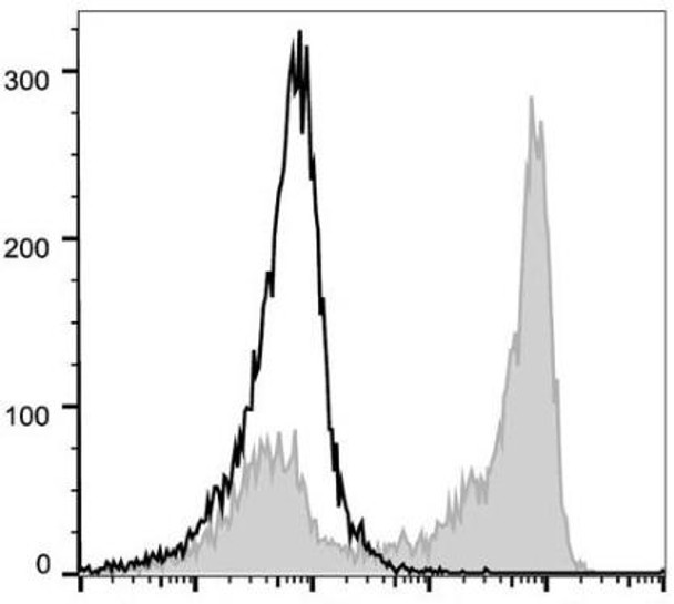 PerCP/Cyanine5.5 Anti-Mouse/Human CD11b Antibody [M1/70] (AGEL1111)
