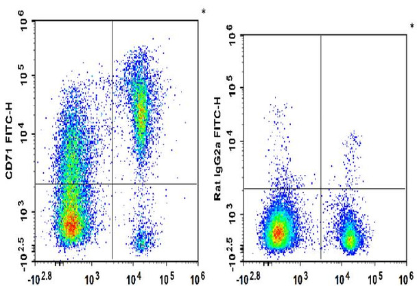 FITC Anti-Mouse CD71 Antibody [R17 217.1.3/TIB-219] (AGEL1196)