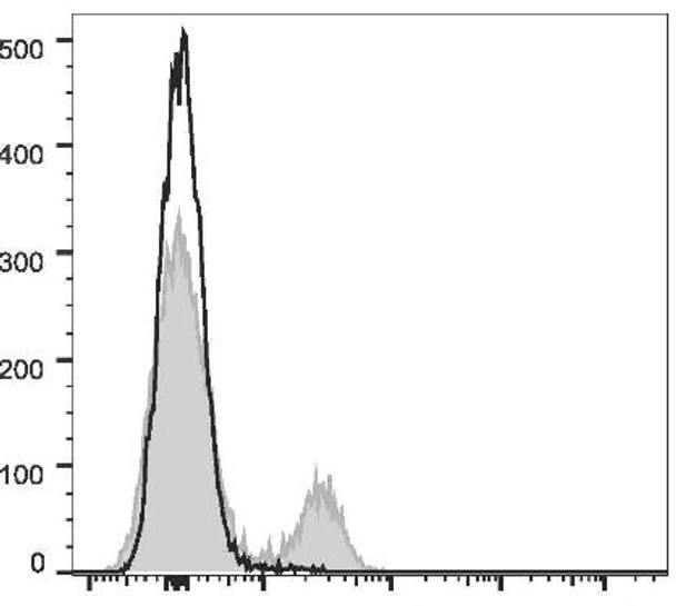 APC Anti-Rat CD8a Antibody [OX-8] (AGEL1257)