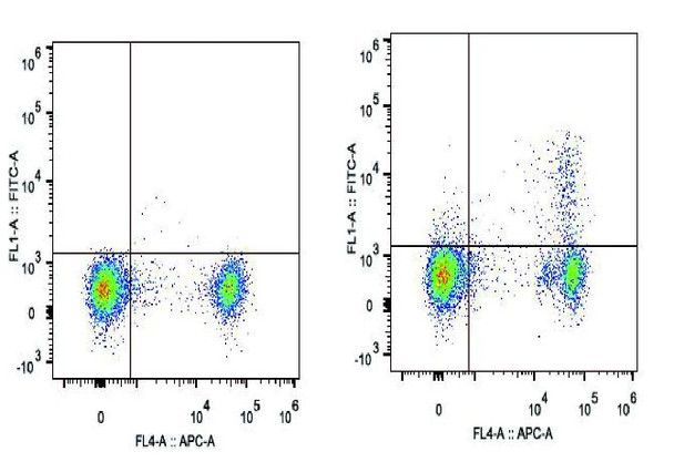 FITC Anti-Mouse CD25 Antibody [PC-61.5.3] (AGEL1305)
