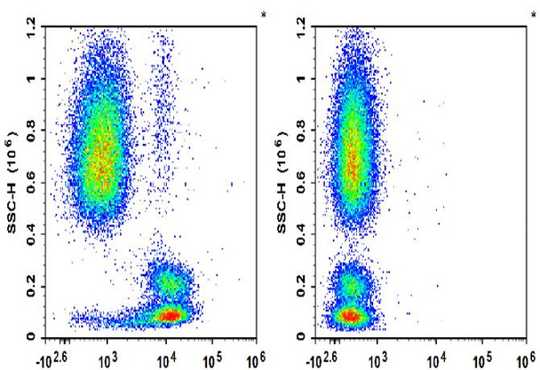 APC Anti-Human CD49d Antibody [9F10] (AGEL1738)