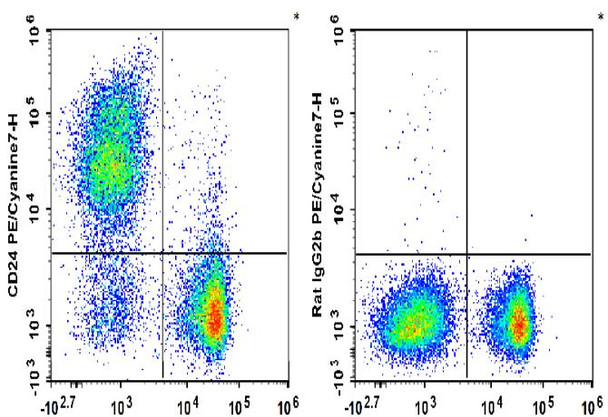 PE/Cyanine7 Anti-Mouse CD24 Antibody [M1/69] (AGEL1895)
