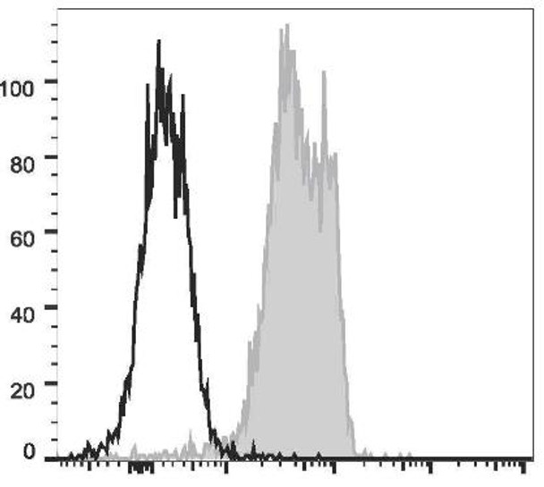 PE Anti-Mouse CD31 Antibody [390] (AGEL1919)