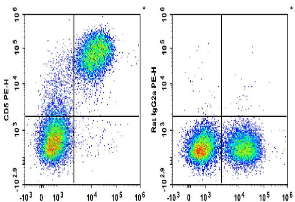PE Anti-Mouse CD5 Antibody [53-7.3] (AGEL1952)