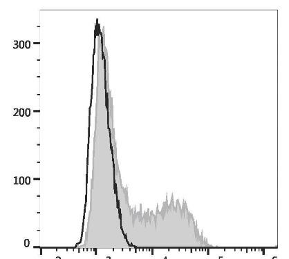 PE Anti-Mouse IL-4 Antibody [11B11] (AGEL2060)