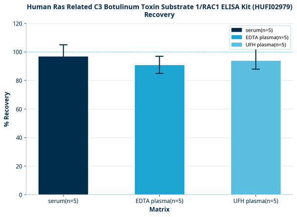 Human Ras Related C3 Botulinum Toxin Substrate 1/RAC1 ELISA Kit (HUFI02979)