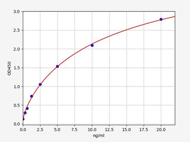 Human HSPA8 ELISA Kit (HUFI00976)