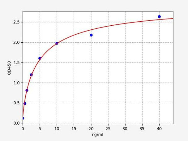 Human Histone Deacetylase 8/HDAC8 ELISA Kit (HUFI00995)