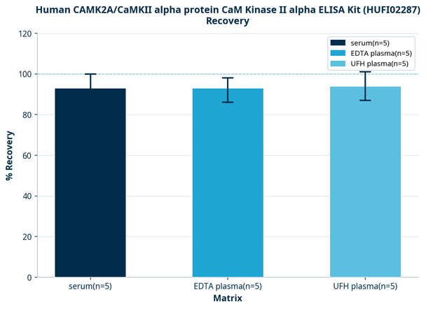 Human CAMK2A/CaMKII alpha protein CaM Kinase II alpha ELISA Kit (HUFI02287)