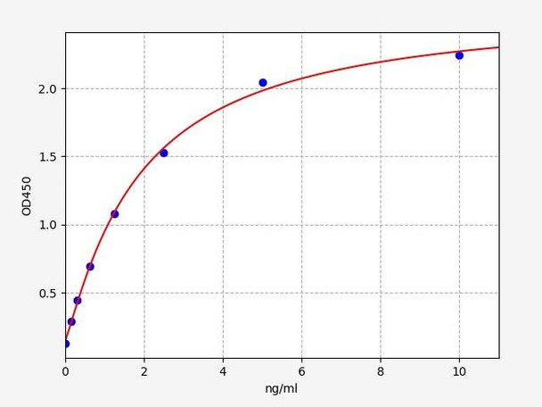 Human ROR gamma/RORC ELISA Kit (HUFI00364)